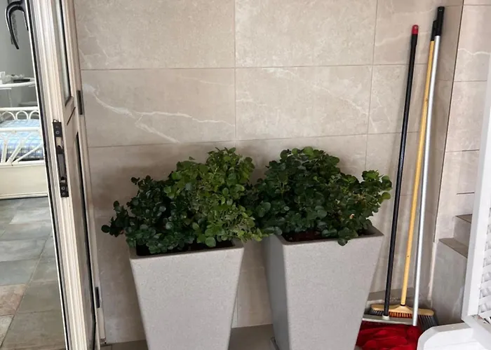 Διαμέρισμα Sandy Nest *