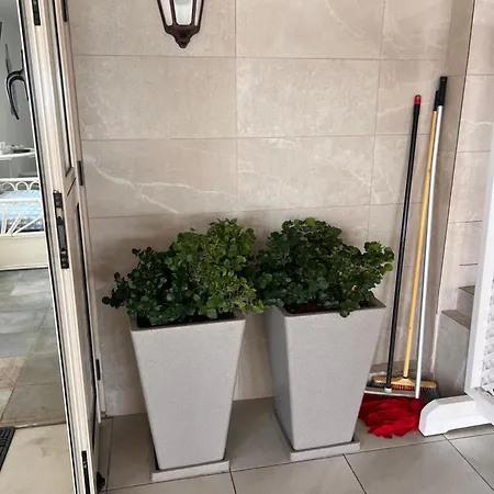 Apartment Sandy Nest *